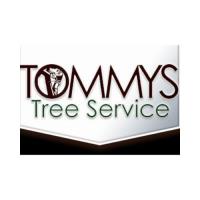 Tommy's Tree Service image 1
